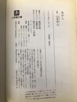 あかん (小学館文庫 N や- 1-1) 小学館 山本 甲士