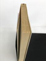 日常生活の冒険 (新潮文庫) 新潮社 健三郎, 大江