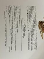 Honey in a Hive (Let's-Read-and-Find-Out Science 2) HarperCollins Rockwell, Anne