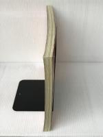 どんどんぬるほん (あそびのおうさまBOOK) 学研プラス LA ZOO