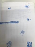 マンボウの刺身: 房州西岬浜物語 新樹社 岩本 隼