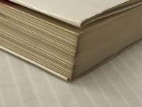 ビ-トたけしのみんなゴミだった