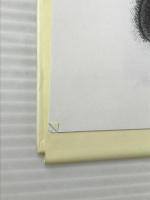 たれぱんだの本 たれぱんだ 小学館 末政 ひかる