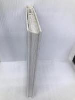 黄金の虎リーグマ 新読書社 フセヴォロト・シソーエフ