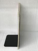 かんたん・かわいいビーズマスコット&アクセサリー: 子どもから大人まで楽しめるキュートなビーズがいっぱい (レディブ