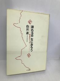 崩れる日なにおもう: 病葉流れて3 小学館 白川 道