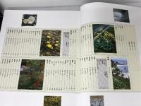 四季花ごよみ 冬 講談社 講談社