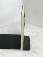 みどりとサンタ: グリ-ンサンタものがたり 新評論 南野 泉