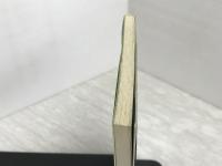 みどりとサンタ: グリ-ンサンタものがたり 新評論 南野 泉