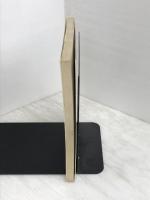 100年前の東京 2 明治後期編: 東京繁盛記 (100年前シリーズ) マール社 伊藤 銀月