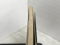 100年前の東京 2 明治後期編: 東京繁盛記 (100年前シリーズ) マール社 伊藤 銀月