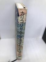 カリコリせんとや生まれけむ 幻冬舎 会田 誠