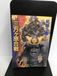 逆撃三方ヶ原合戦 (中公文庫 つ 15-18) 中央公論新社 柘植 久慶
