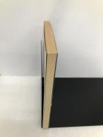 新宮本武蔵 2 (徳間文庫 204-7) 徳間書店 光瀬 龍