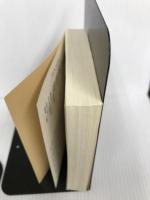 大明国へ、参りまする (文春文庫 い 61-3) 文藝春秋 岩井 三四二