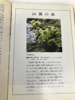 早池峰連嶺の花 (花紀行 4) 文化出版局 土井 信夫