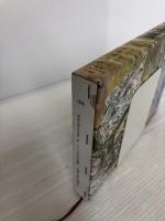 シー・ペリル号の冒険 岩波書店 フィリップ・ターナー