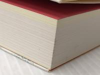 描かれた明治ニッポン　石版画(リトグラフ)の時代　［図録］ 描かれた明治ニッポン展実行委員会 河野 実，森登，大島寛子　編