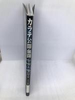 カラテ公開血闘: Chaos madmax 東邦出版 フル コム