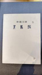 新羅王陵 天馬塚 発掘調査報告書　