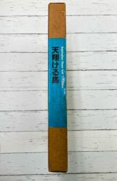 天翔ける馬　「カラコルム」ボイオハグール・ドウアン・アシールI峰（7329m）