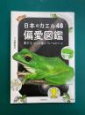 日本のカエル48 偏愛図鑑　東大生・さこの君のフィールドノート