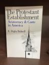 The Protestant Establishment: Aristocracy and Caste in America 　洋書