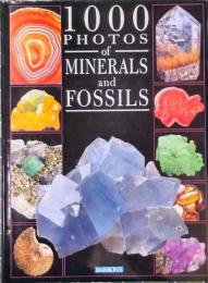 1000 Photos of Minerals and Fossils