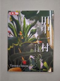 田中一村　“南の琳派"への軌跡　(別冊太陽 日本のこころ)