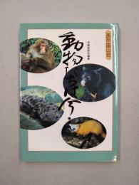 動物たちは今・・・　西中国山地