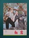 朝霧　【映画パンフレット】