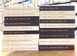 G.W.F Hegel Werke　3～20+werke in 20 banden　青版・白版とりあわせ19冊セット　（洋書）　ヘーゲル全集　ドイツ語版