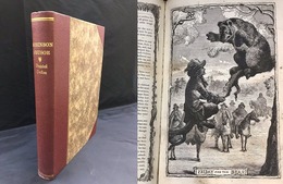 ROBINSON CRUSOE　（洋書）　カッセル版 ロビンソン・クルーソー　＊改装本（ルリユール）