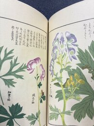 本草図譜　19　毒草部（2）　＊手刷木版入