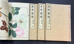 本草図譜　6～9　芳草部（1～4）　全4冊揃　＊手刷木版入