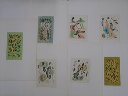 難波田龍起銅版画集「海辺の詩」（銅版画7枚入）