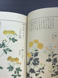 本草図譜　10　湿草部（1）　＊手刷木版入