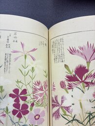 本草図譜　15　湿草部（6）　＊手刷木版入