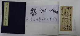 汪良書法集（汪良日本書法展図録）
