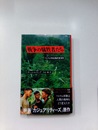 戦争の犠牲者たち　ベトナム192高地虐殺事件
