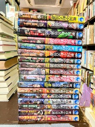 戦国小町苦労譚　第1巻～第17巻まで　17冊セット　（アース・スター ノベル）