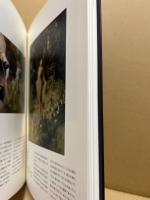 アントワープ王立美術館コレクション展 : ベルギー近代美術の殿堂アンソールからマグリットへ