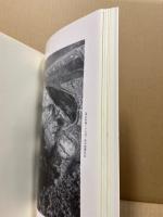 有井城跡発掘調査報告　広島市佐伯区五日市所在　広島市歴史科学教育事業団調査報告8集