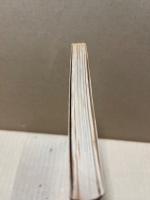 Jasper National Park Behind the Mountains and Glaciers