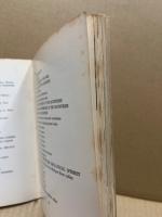 Jasper National Park Behind the Mountains and Glaciers