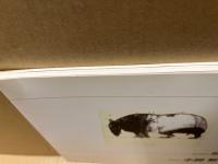 描写の可能性を視る　灰谷正夫・清水勇・小間野生穂