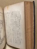 印度政治史(上)