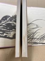 定本　桃源華洞考異