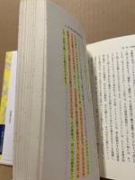 ドイツ観念論における反省理論