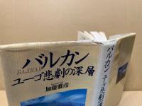 バルカン : ユーゴ悲劇の深層